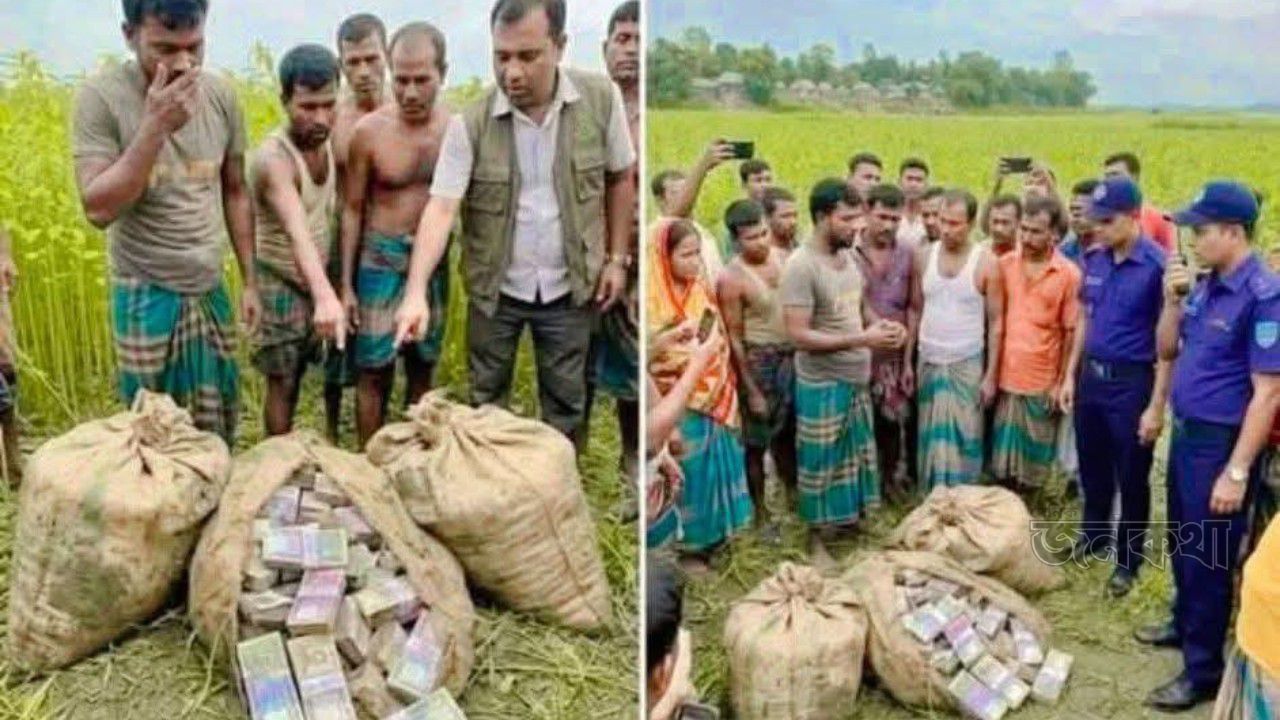 পাটক্ষেতে মিলল কোটি কোটি টাকার ‘গুপ্তধন’, এলাকায় তুমুল চাঞ্চল্য