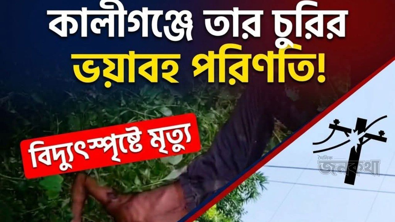 কালীগঞ্জে বিদ্যুতের তার চুরি করতে গিয়ে প্রাণ গেল যুবকের, এলাকায় চাঞ্চল্য