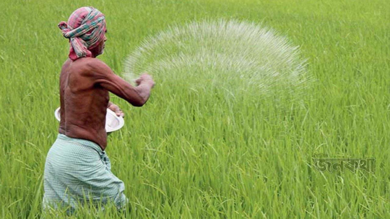 মাটির স্বাস্থ্য ও খাদ্য নিরাপত্তা: সারের ভারসাম্যহীন ব্যবহারে বাড়ছে ঝুঁকি  ওয়াদুদ খন্দকার, দৈনিক জনকথা